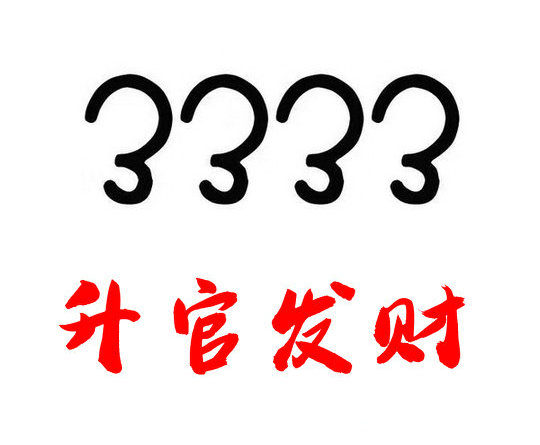 郓城333吉祥号