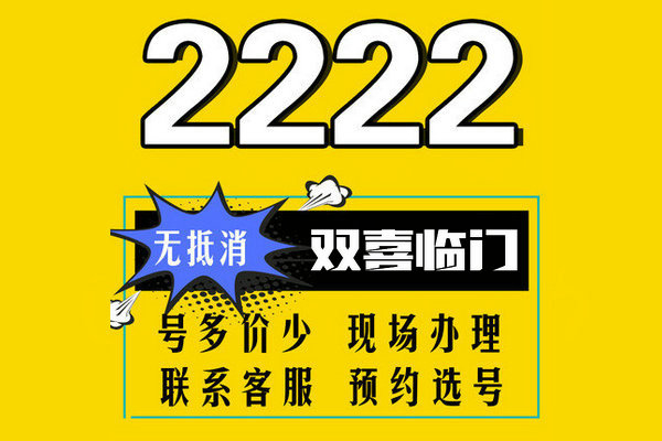 巨野222吉祥号