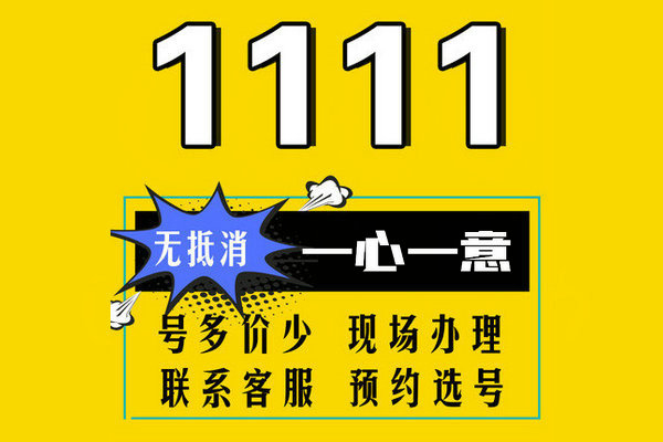 成武1111吉祥号